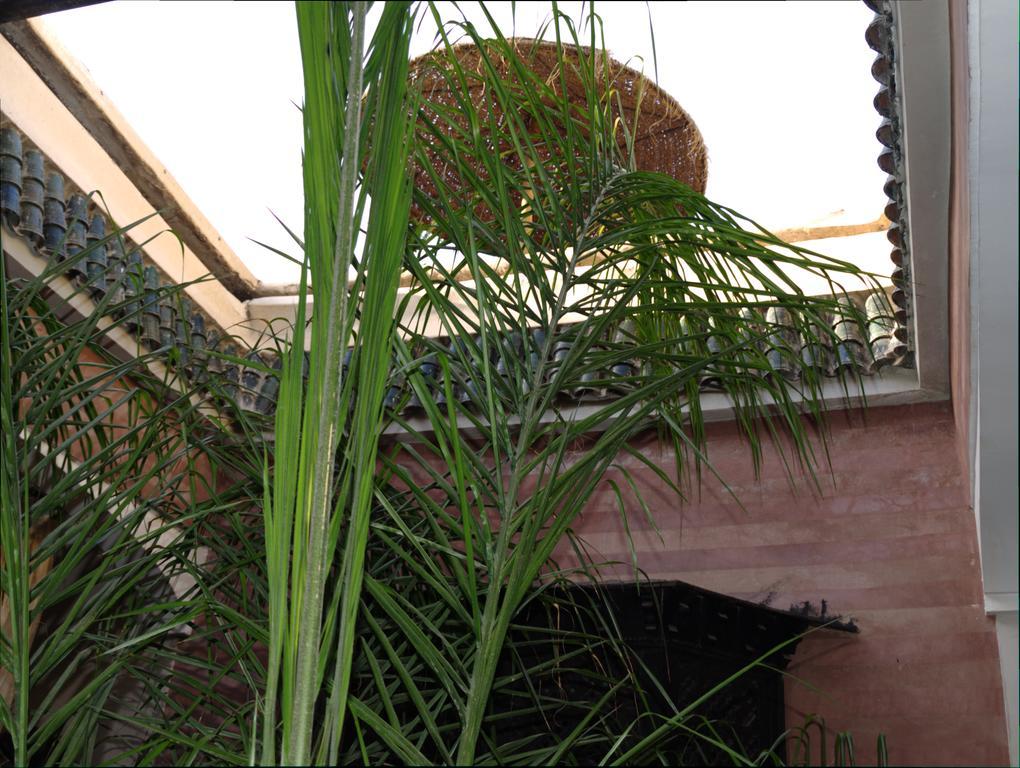 Riad Dar Ftouma Marrakesh Extérieur photo